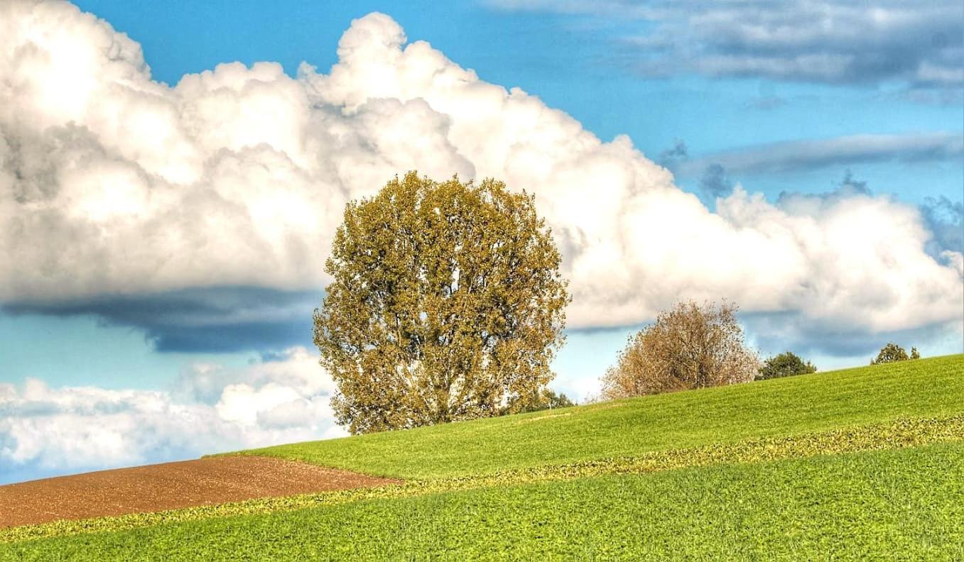 Hoeve Hofgaarde Heers Dış mekan fotoğraf