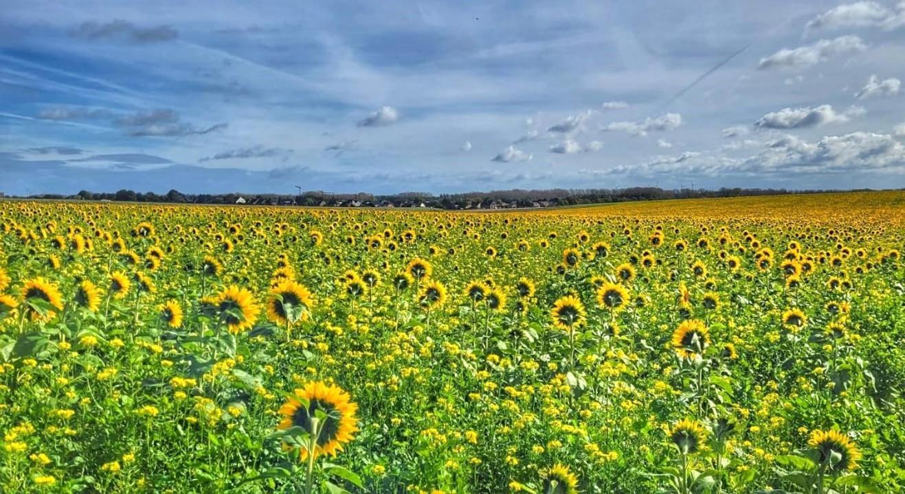 Hoeve Hofgaarde Heers Dış mekan fotoğraf