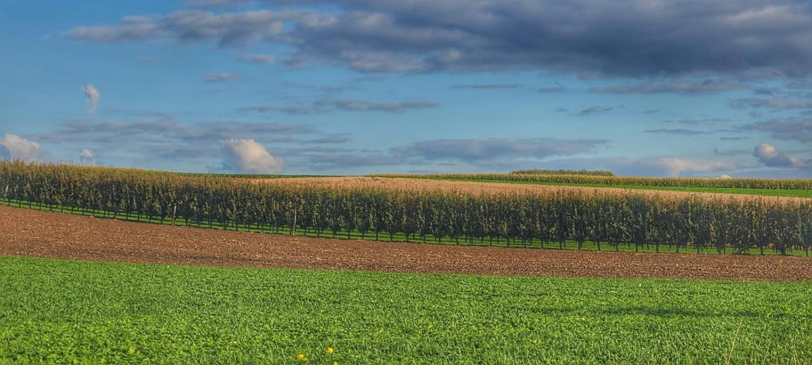 Hoeve Hofgaarde Heers Dış mekan fotoğraf