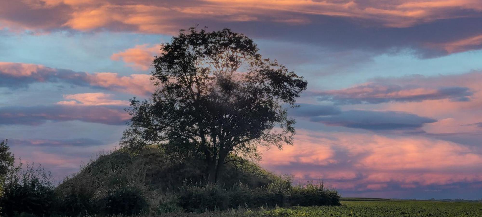 Hoeve Hofgaarde Heers Dış mekan fotoğraf