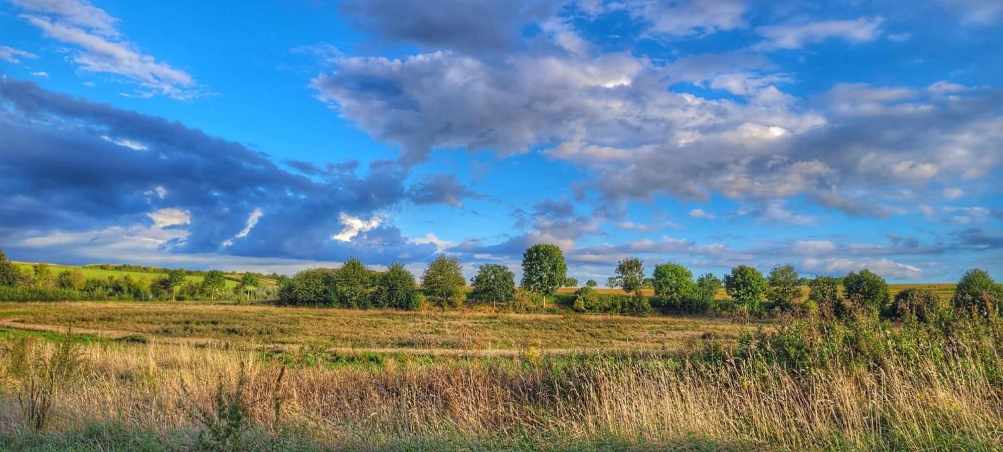 Hoeve Hofgaarde Heers Dış mekan fotoğraf