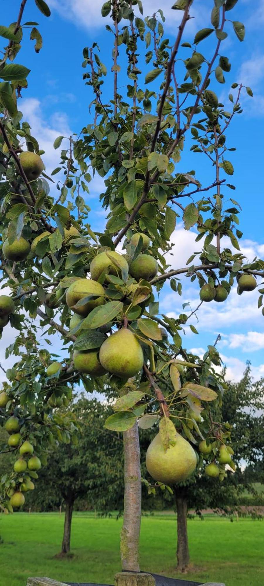 Hoeve Hofgaarde Heers Dış mekan fotoğraf